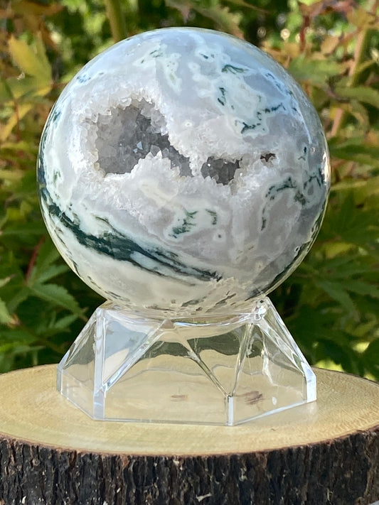 Tree Agate Sphere