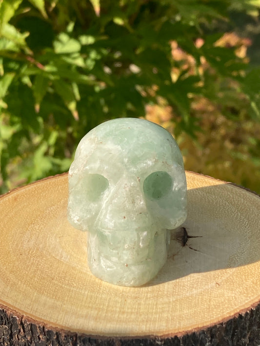 Caribbean Calcite Skull