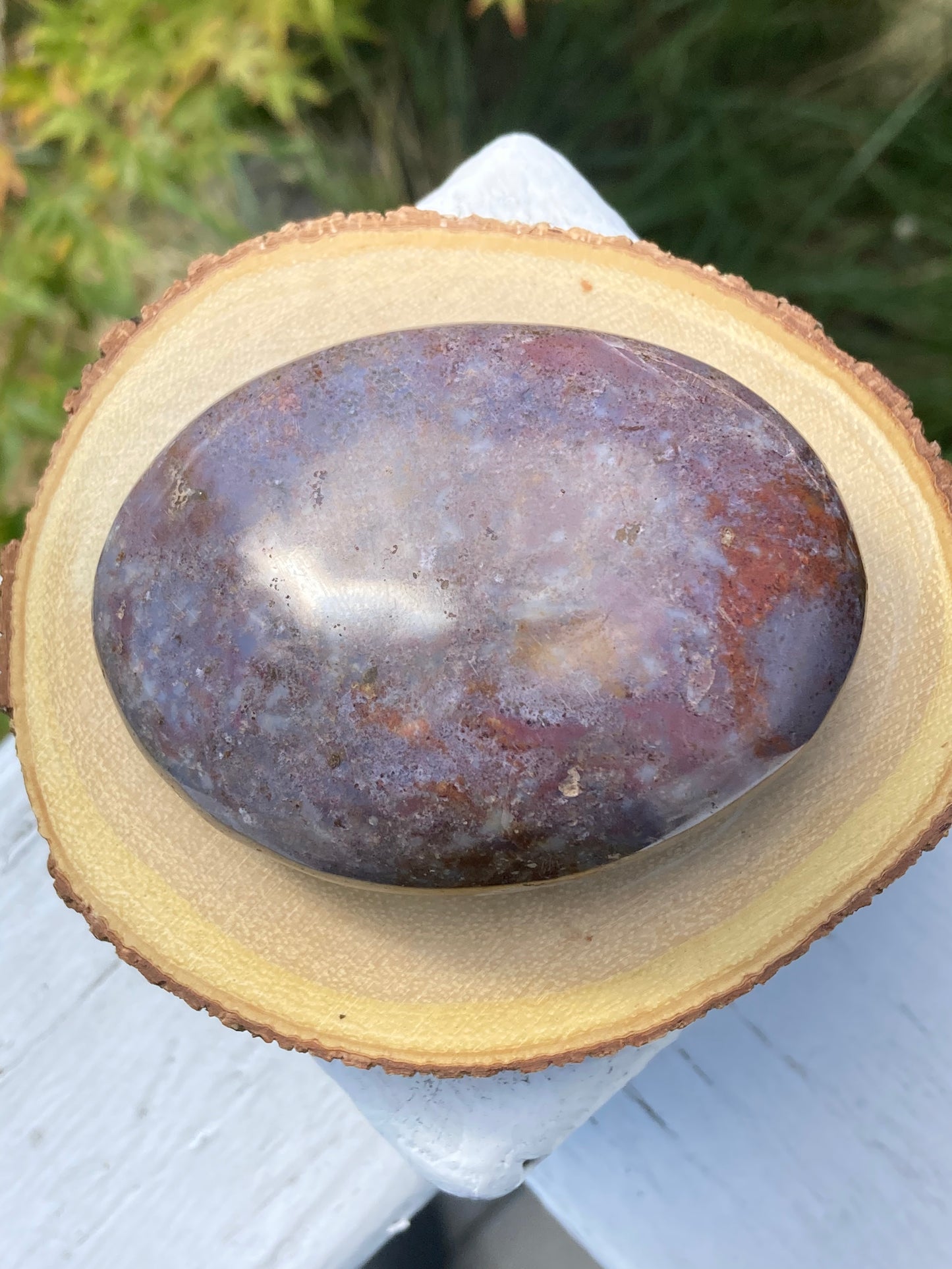 Agate Palm Stone