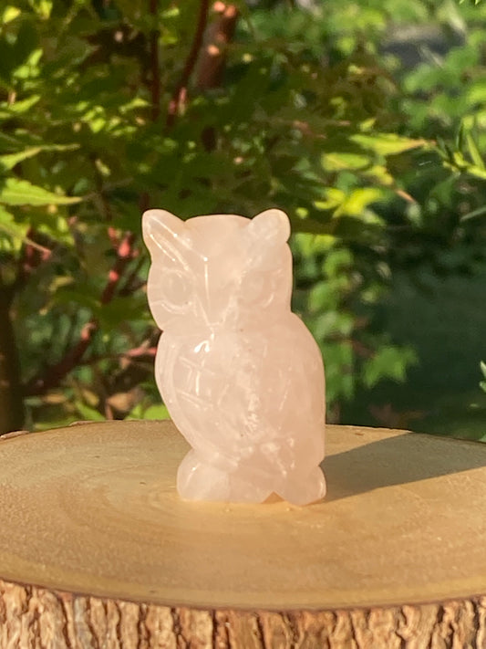 Rose Quartz Owl Carving