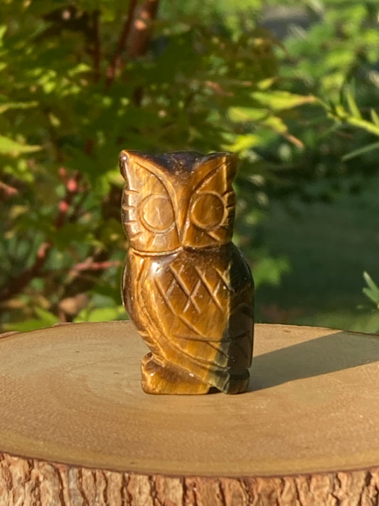 Tiger's Eye Owl Carving