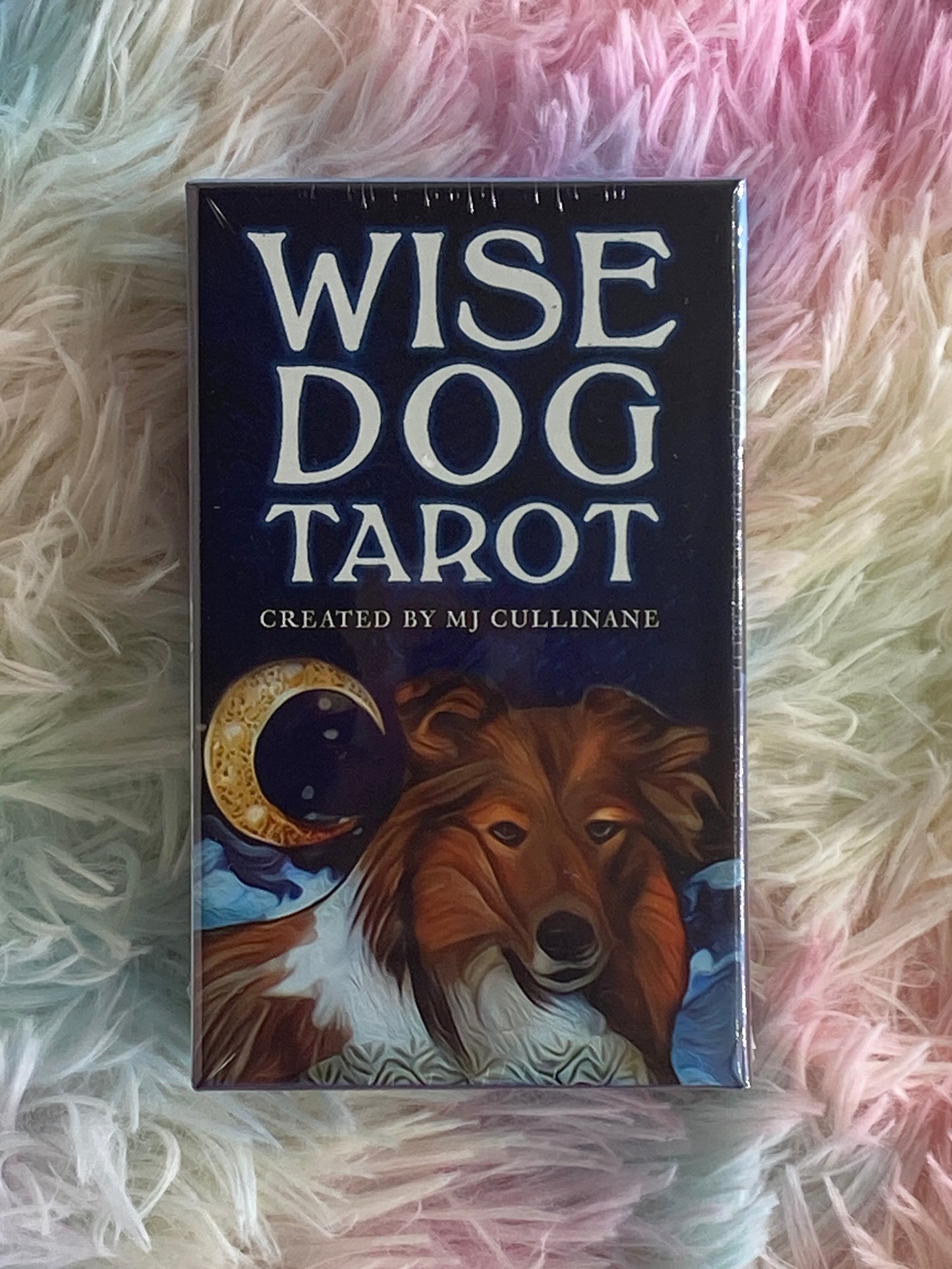 Wise Dog Tarot